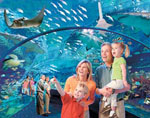 Ripley's Aquarium of the Smokies